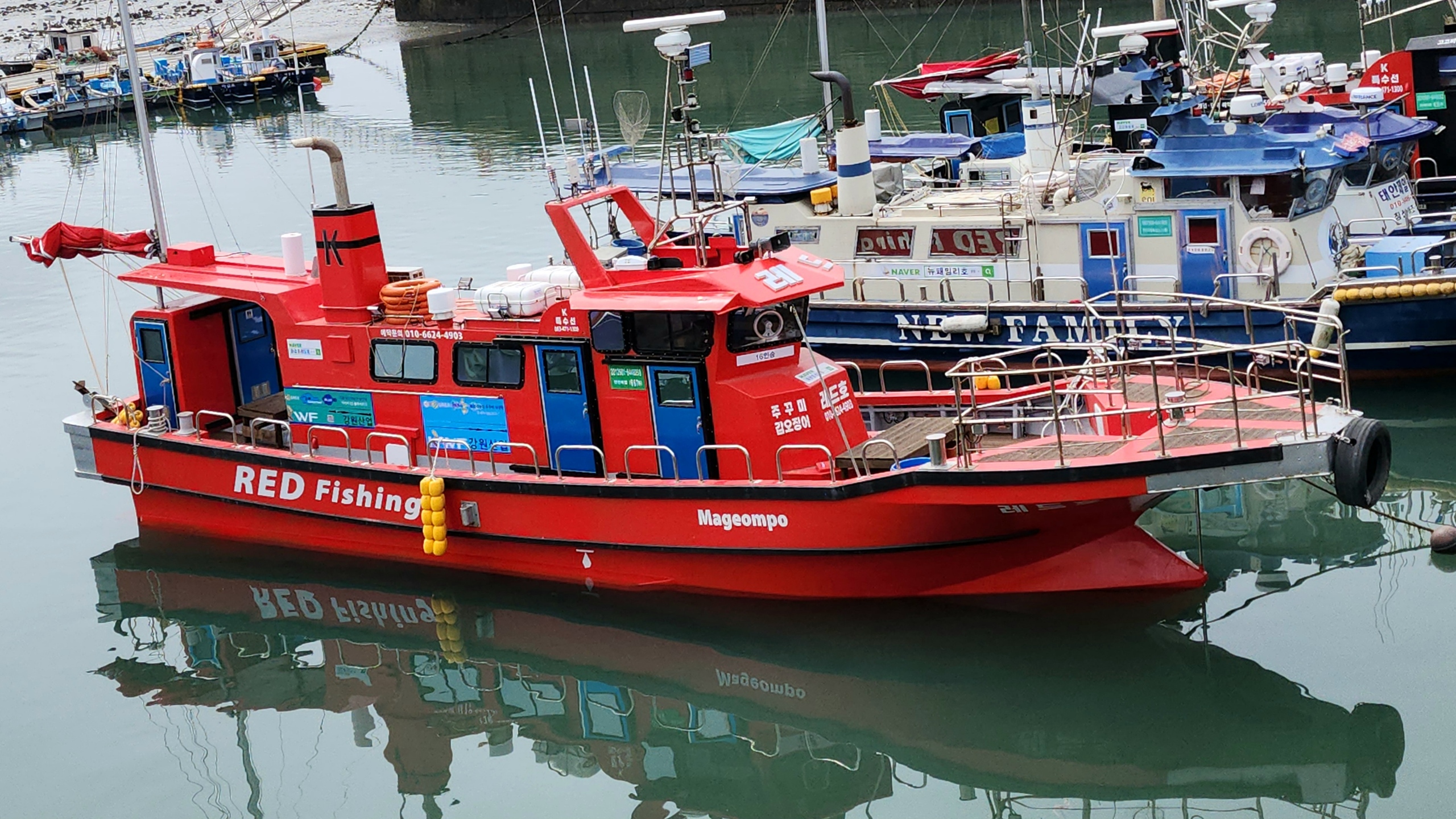 어바웃피싱챔피언십 레드호 마검포항 광어낚시