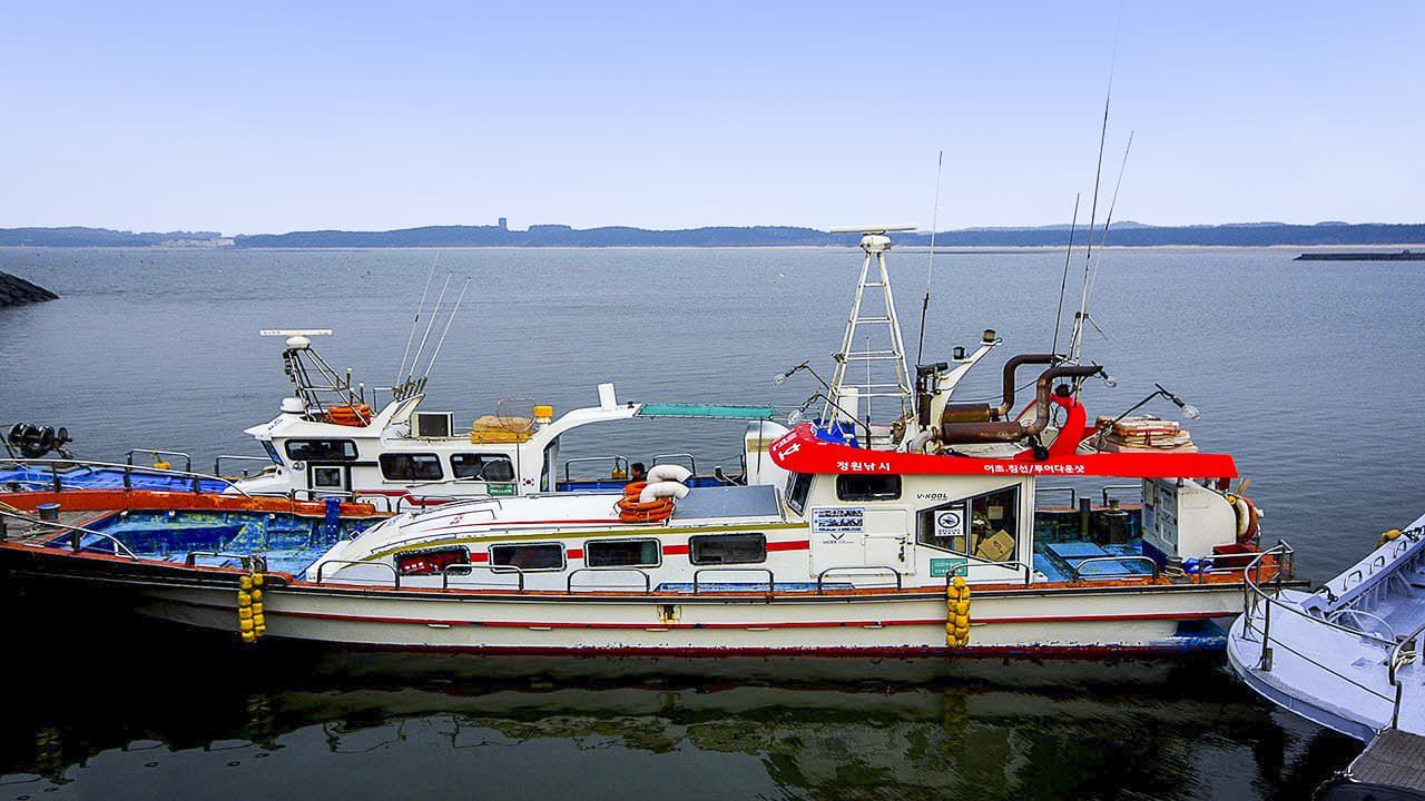 어바웃피싱챔피언십 정원호 마검포항 광어낚시