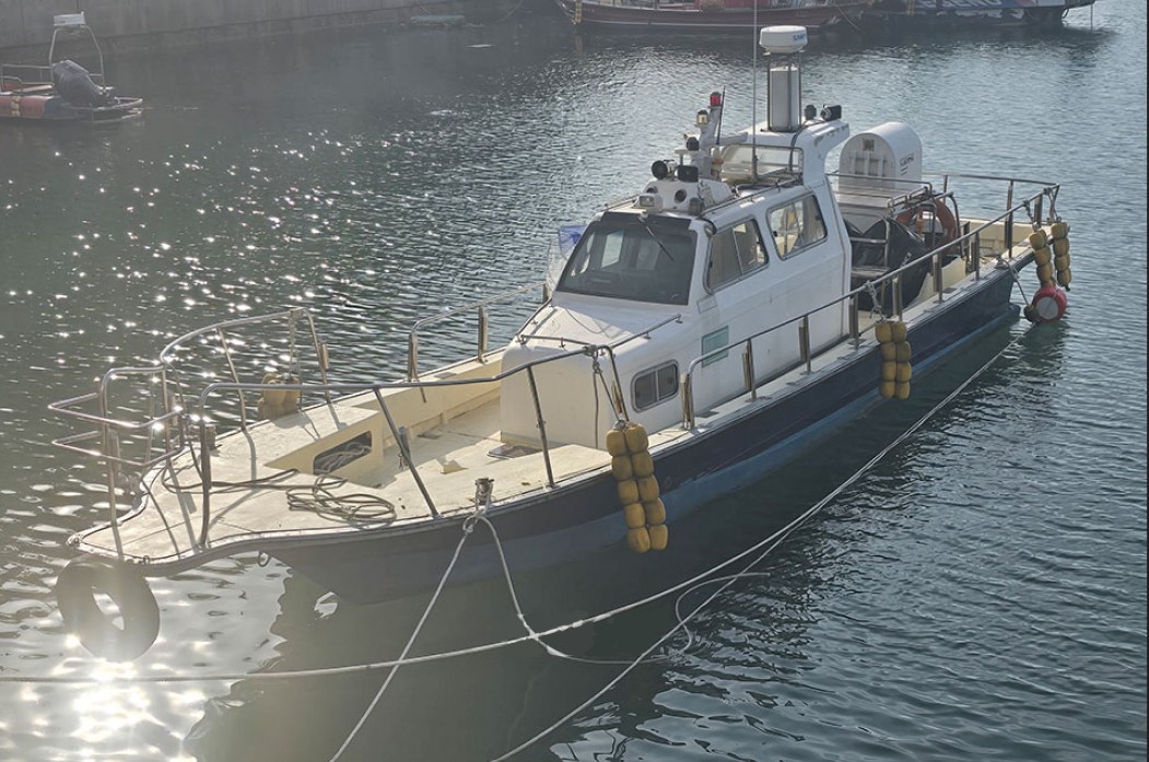 충남 마검포 와일드캣호 선상낚시 예약