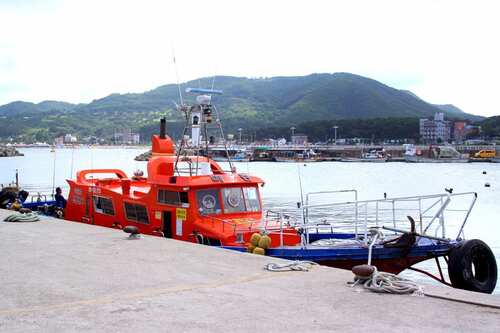 마린호 감포항 삼치·방어·무늬오징어 선상낚시 낚시배 예약