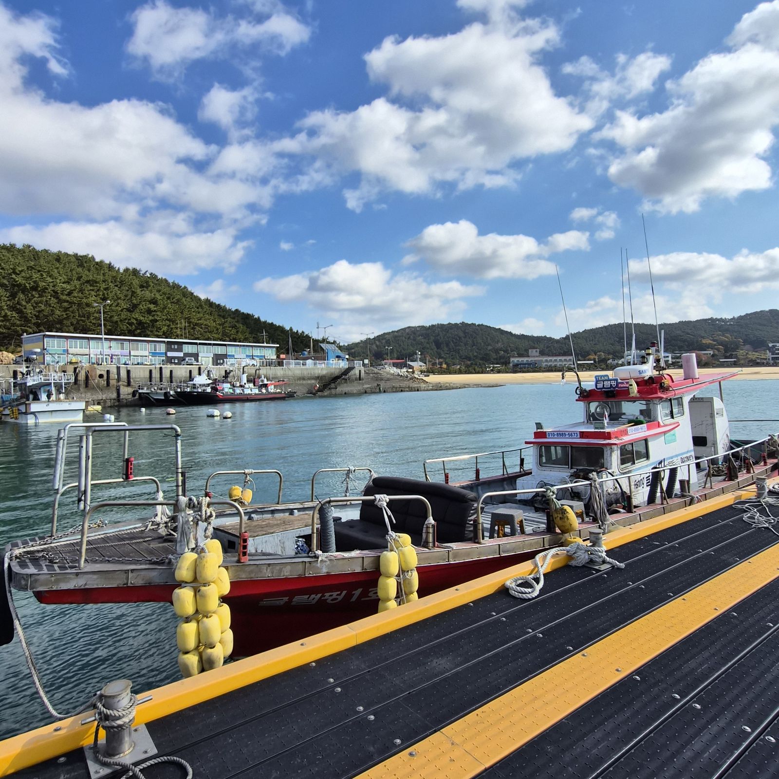 충남 모항 글램핑호 선상낚시 예약