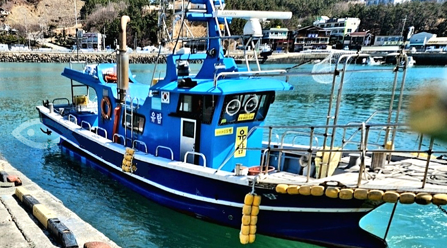 충남 모항 유람호 선상낚시 예약