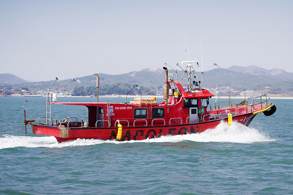 충남 모항 나폴레옹호 선상낚시 예약