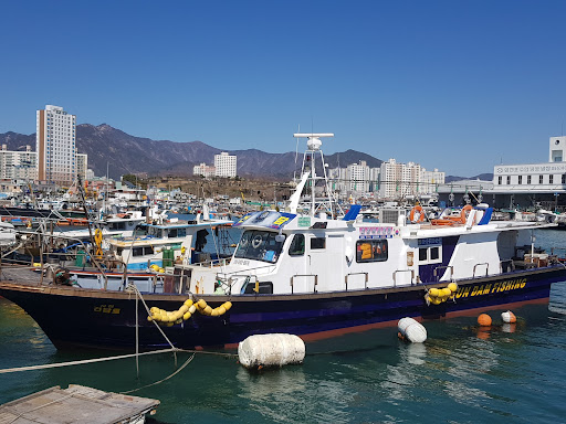 건담호 삼천포항 갑오징어·문어·쭈꾸미 선상낚시 낚시배 예약