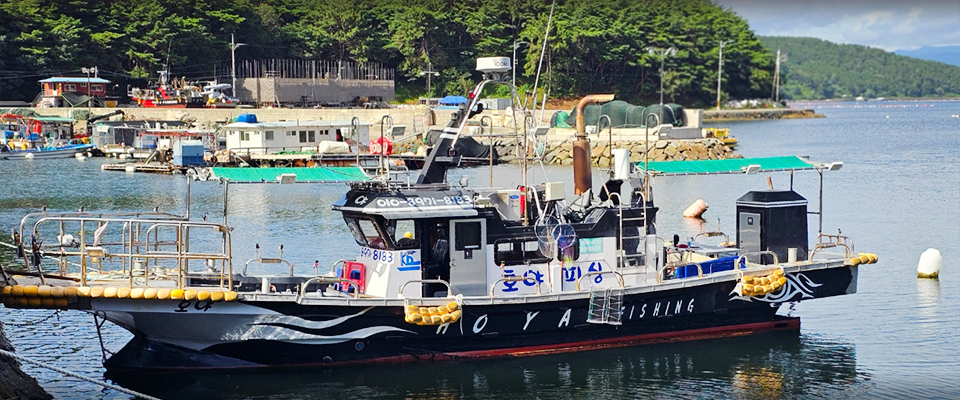 호야호 감성돔 선상낚시 낚시배 예약