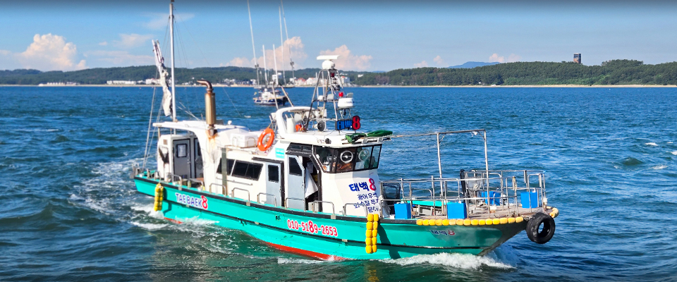 어바웃피싱챔피언십 태백8호 마검포항 광어낚시