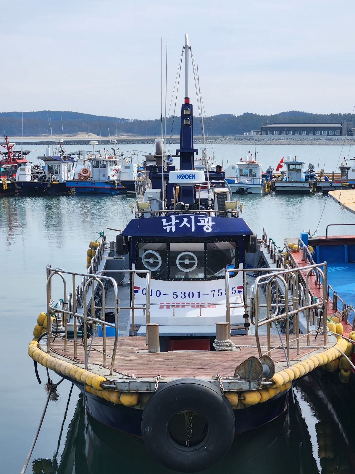 어바웃피싱챔피언십 낚시광호 마검포항 광어낚시