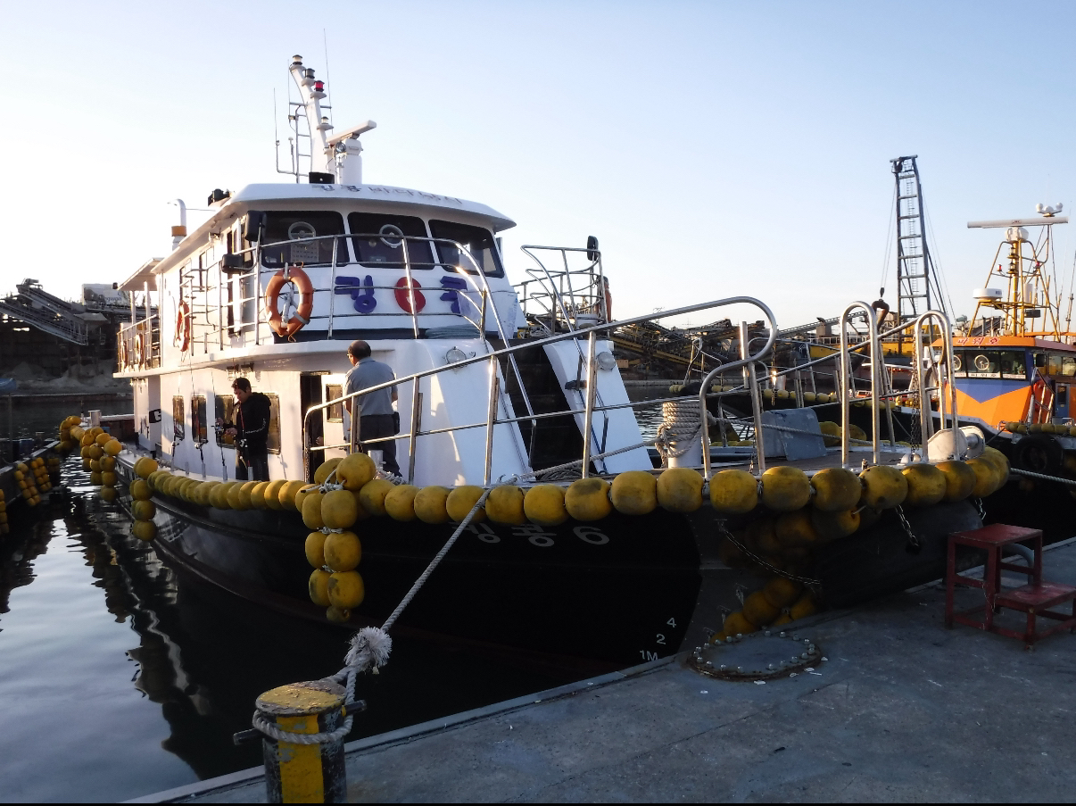 인천배낚시 체험 킹콩6호 우럭 광어 다운샷 낚시