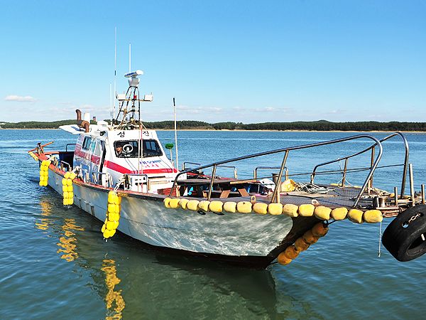 어바웃피싱챔피언십 성진호 마검포항 광어낚시