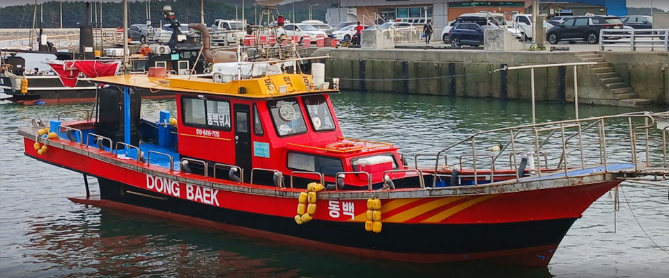 어바웃피싱챔피언십 동백호 마검포항 광어낚시