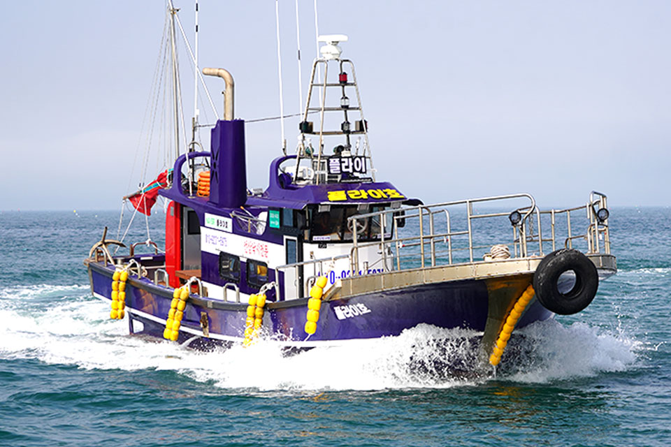 어바웃피싱챔피언십 플라이호 마검포항 광어낚시