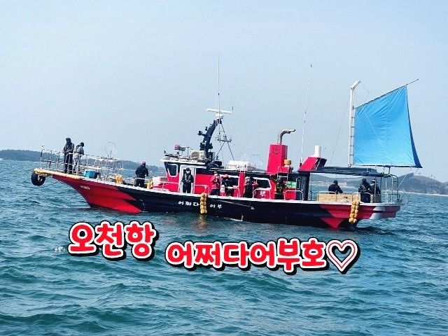 어쩌다어부호 오천항 갑오징어·농어·문어 선상낚시 낚시배 예약