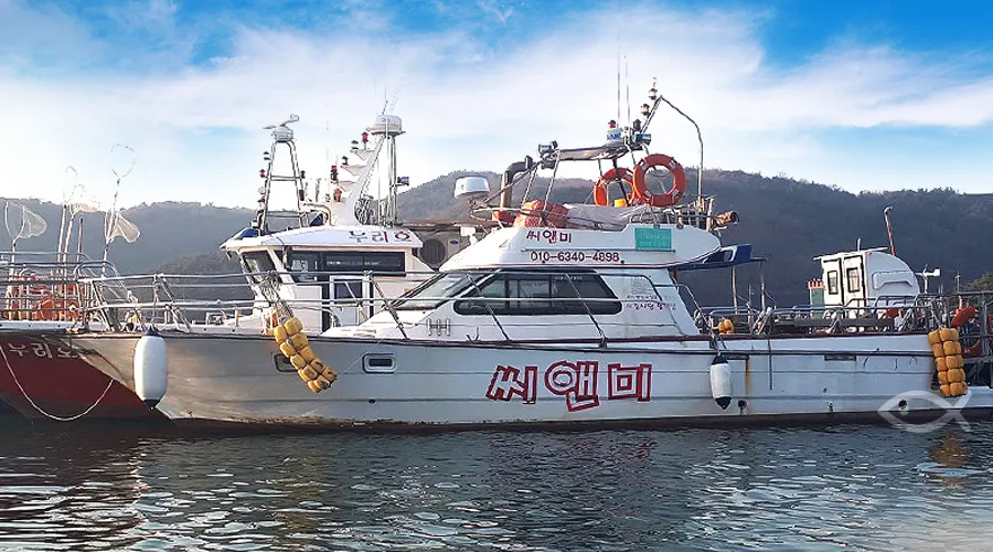 씨앤미호 오천항 갑오징어·쭈꾸미·광어 선상낚시 낚시배 예약