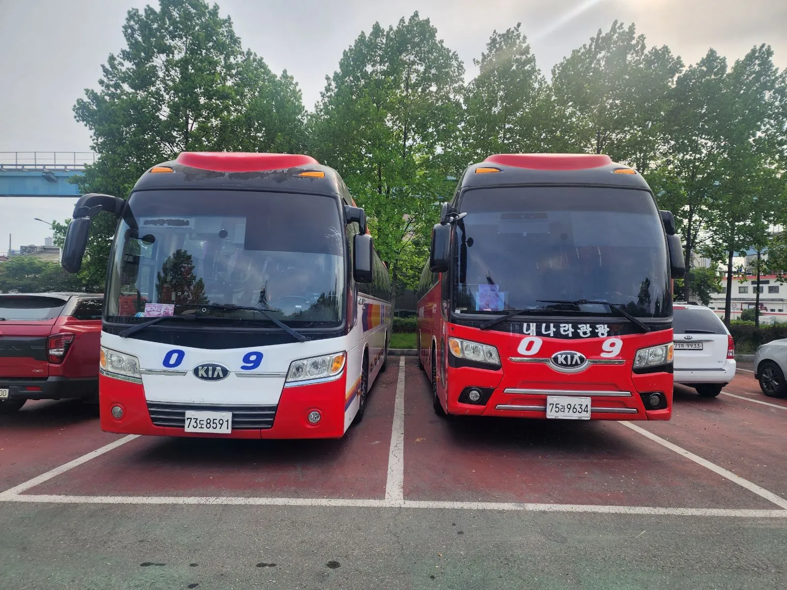 영구낚시 갈치·갑오징어·대구 선상낚시 낚시배 예약