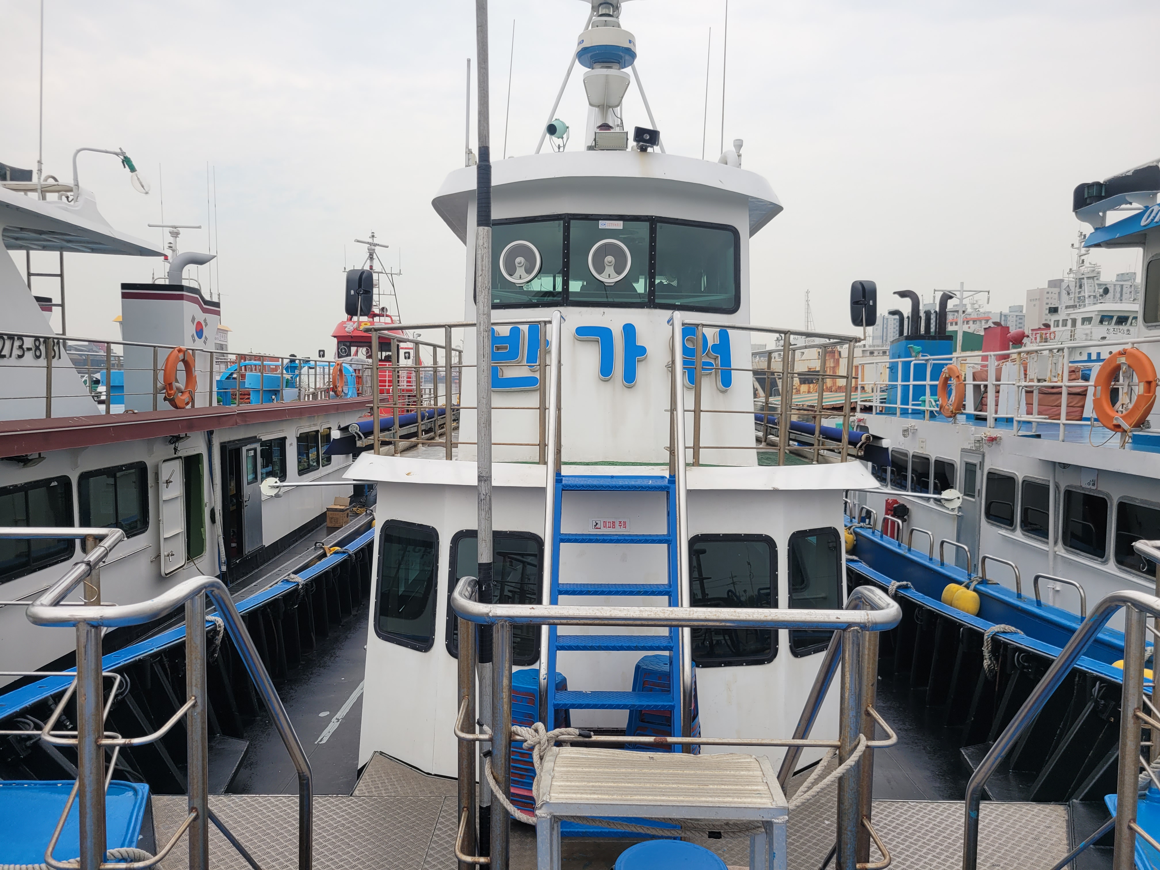 인천배낚시 반가워호 남항 갑오징어 쭈꾸미 낚시