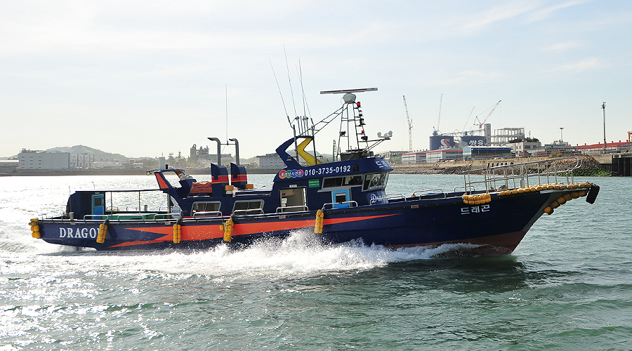 인천배낚시 드래곤호 남항 갑오징어 노래미 낚시