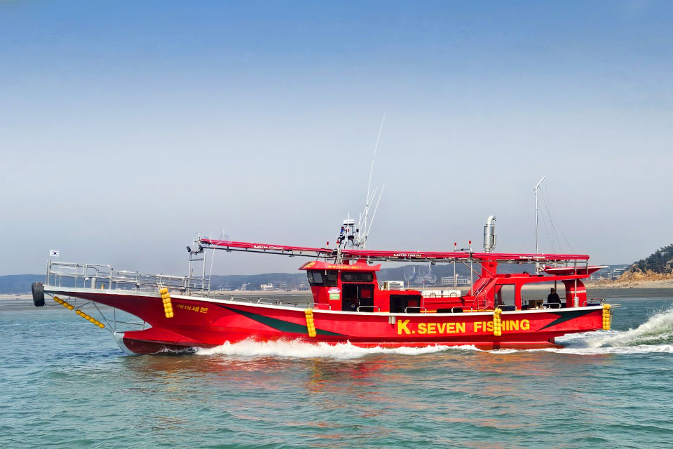 인천배낚시 K세븐호 잠진도 갑오징어 광어 낚시