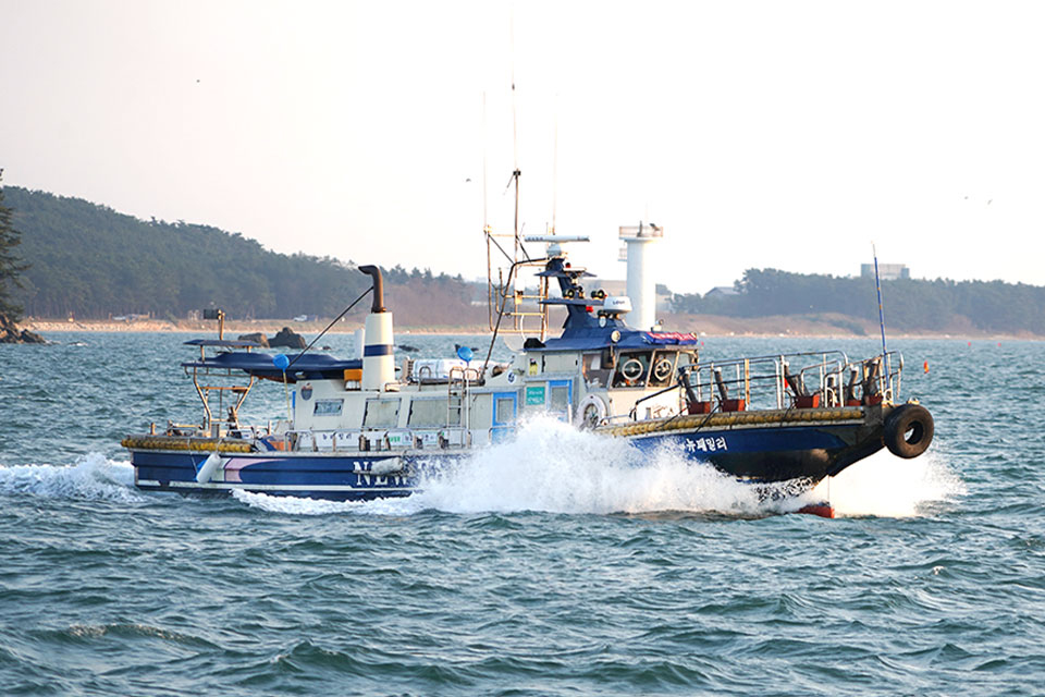 어바웃피싱챔피언십 뉴패밀리호 마검포항 광어낚시