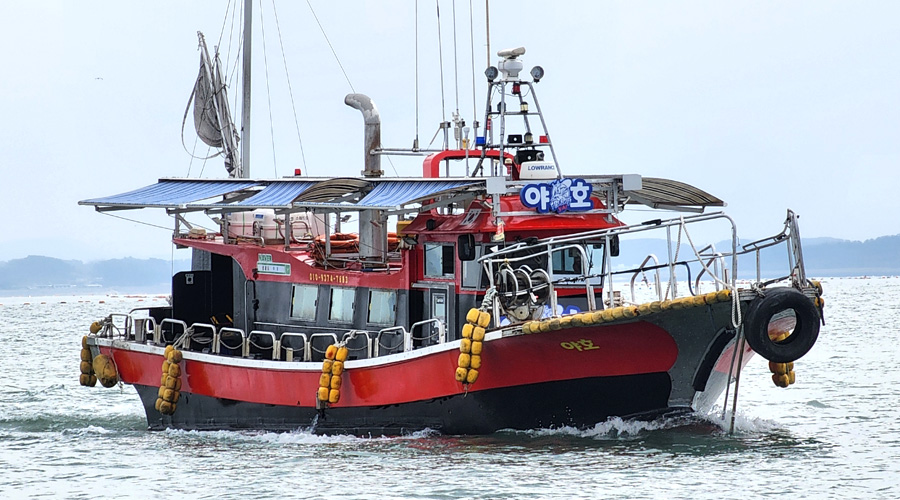 인천배낚시 야호 영흥 갑오징어 참돔 농어 낚시