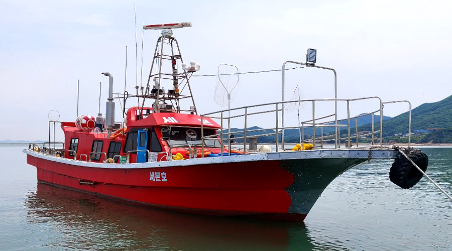 인천배낚시 세븐호 잠진도 갑오징어 주꾸미 광어 낚시