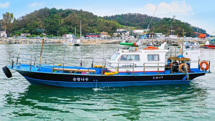 충남 안면도 은행나무호 선상낚시 예약