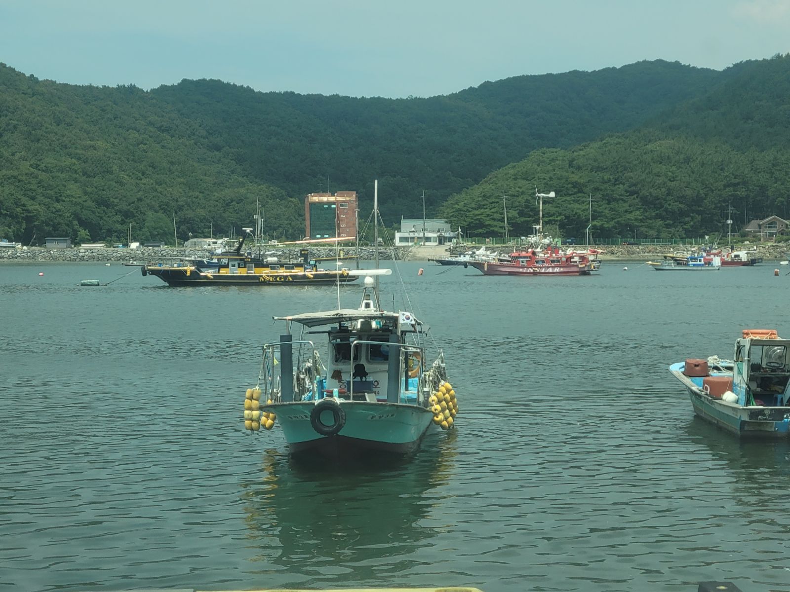 동양3호 오천항 백조기·광어·우럭 선상낚시 낚시배 예약