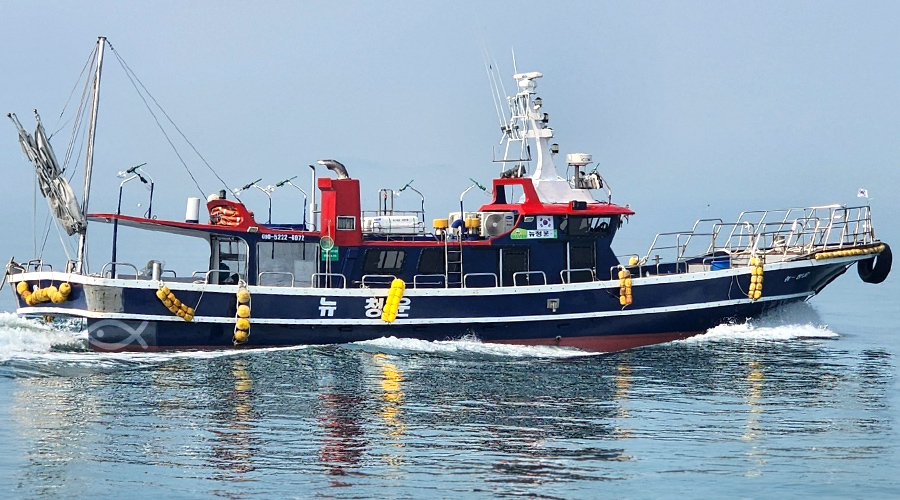 인천배낚시 뉴청운호 영흥 주꾸미 광어 낚시