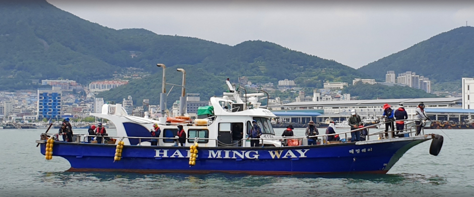 전남 헤밍웨이호 선상낚시 예약