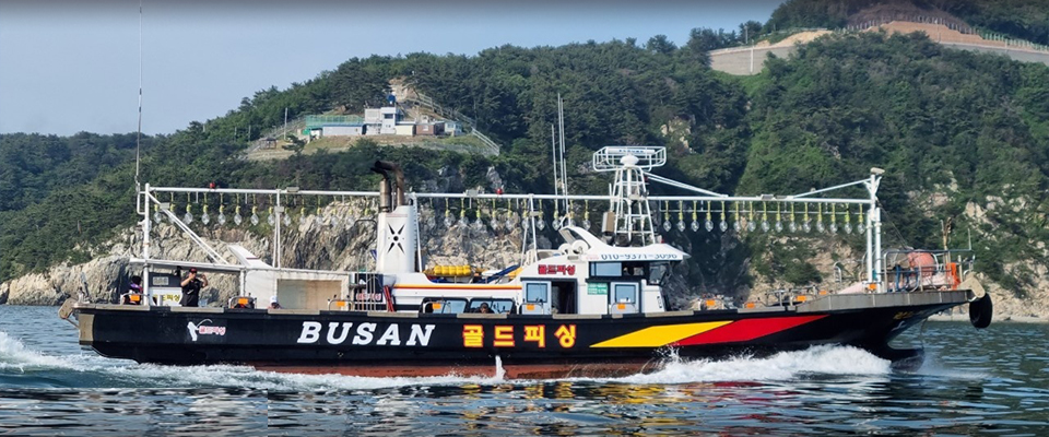 골드피싱 부산 문어 선상낚시 낚시배 예약