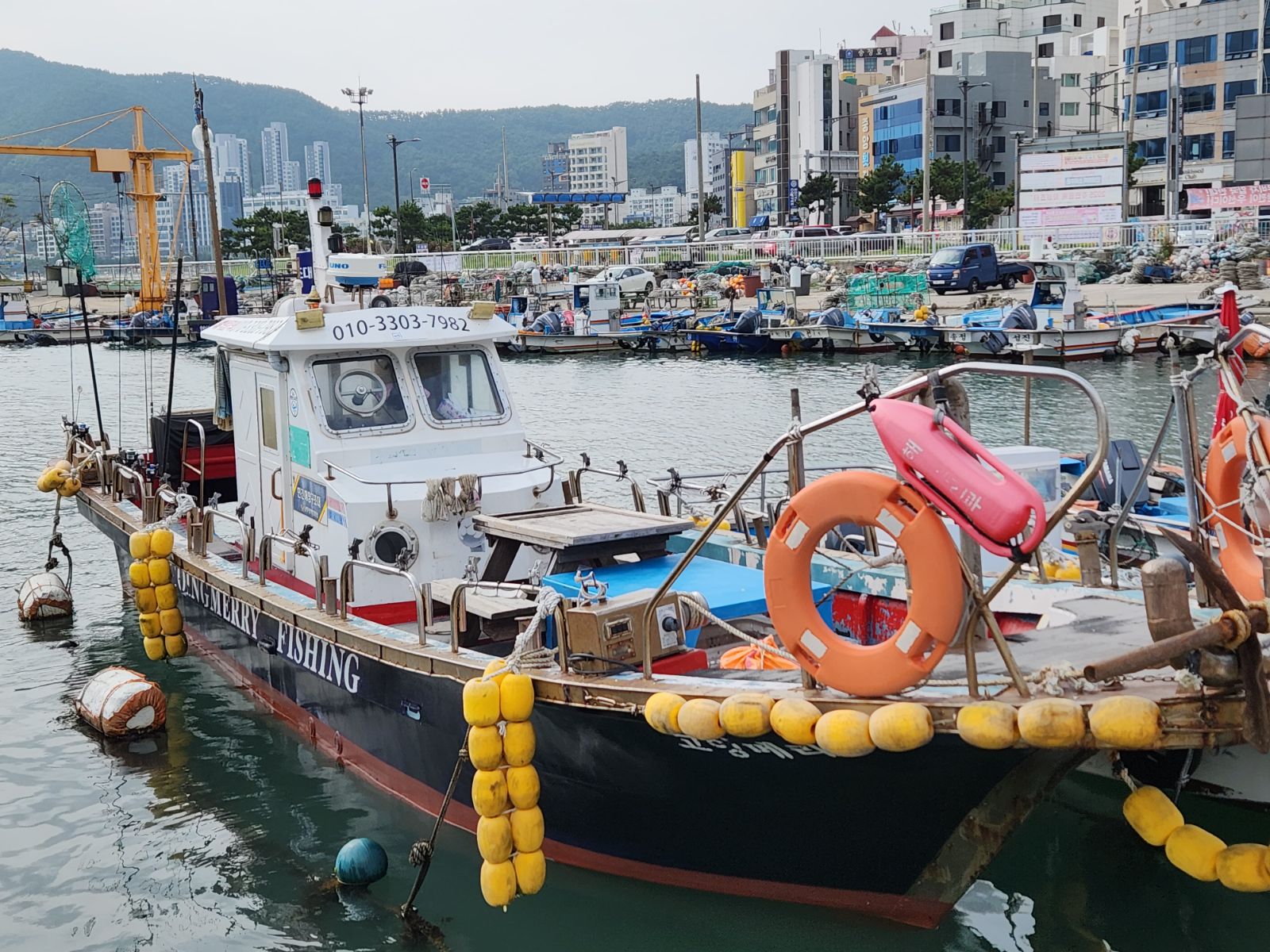 고잉메리피싱호 부산 열기·볼락 선상낚시 낚시배 예약