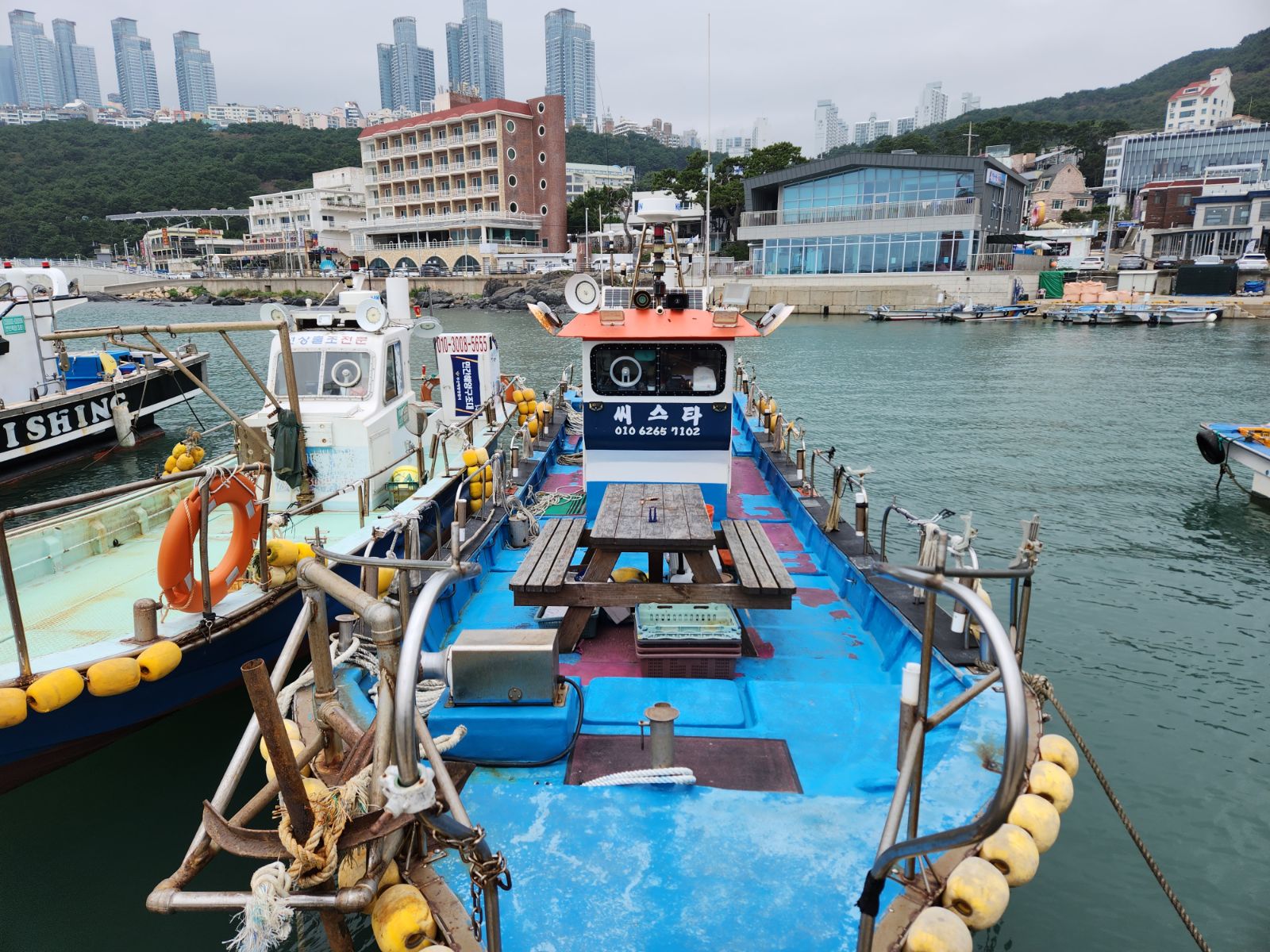 씨스타호 부산 열기·볼락 선상낚시 낚시배 예약