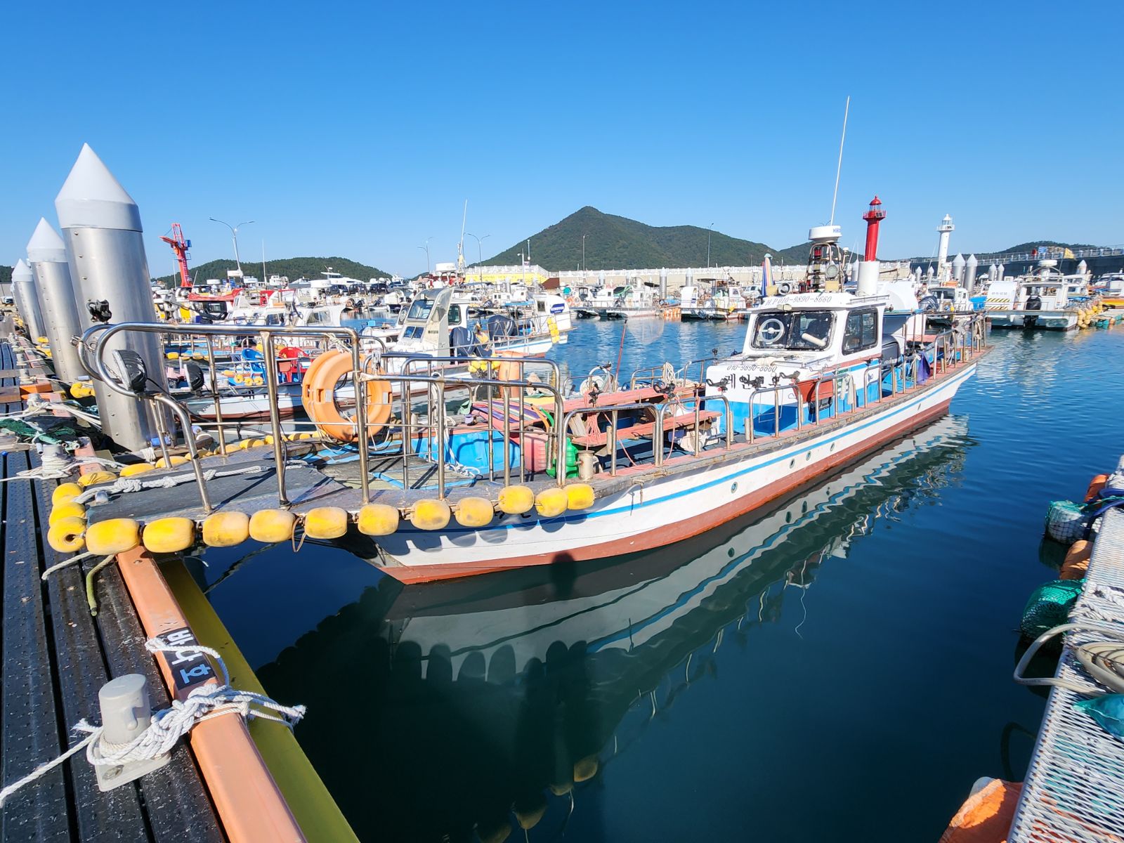 전남 레인보우호 선상낚시 예약
