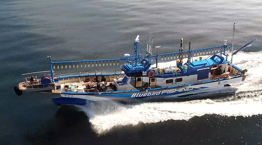 전남 완도파랑새호 선상낚시 예약