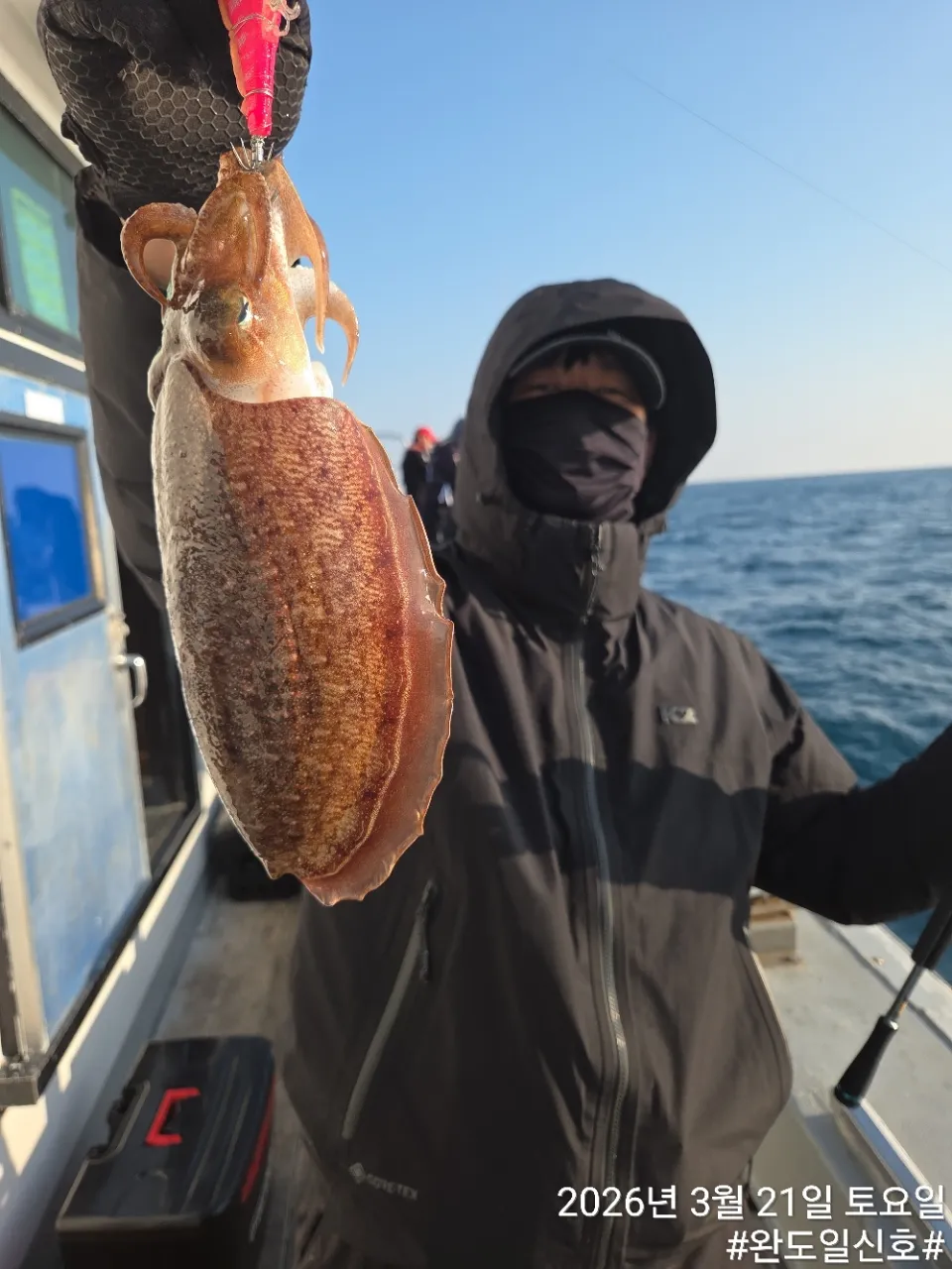 뉴해양호 봄쭈꾸미 조황